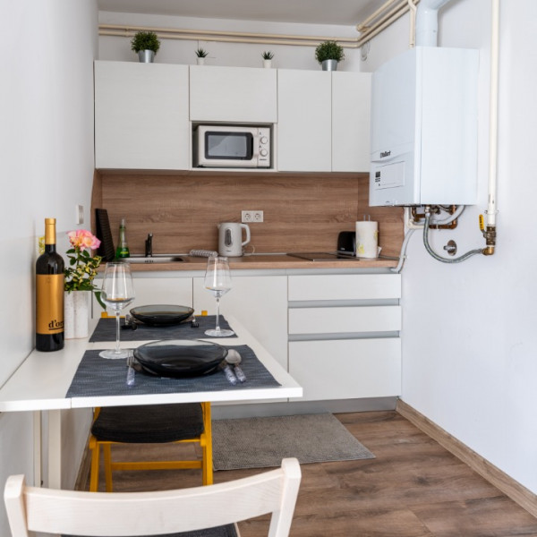 Kitchen, Apartmani Borik, Apartments Borik with wellness, gym, and playground, Bjelovar, Croatia Bjelovar