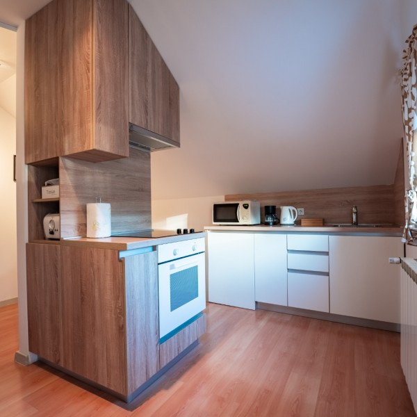 Kitchen, Apartmani Borik, Apartments Borik with wellness, gym, and playground, Bjelovar, Croatia Bjelovar